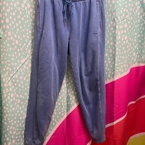 Aritzia TNA Blue Sweatpants